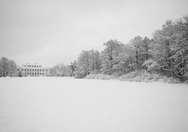 Palácio no conto de fadas da neve — Fotografia de Stock